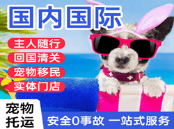 北海福成空运代理国际宠物托运 【国